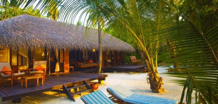 Maldivler Tatili: Mevsim, Transfer ve Otel Seçimi 4 Medhufushi Island Resort tesisinin arşiv görünümü