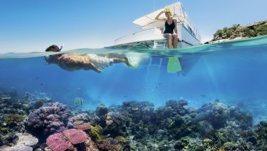 maldivler biyadhoo adasi snorkelle yuzme