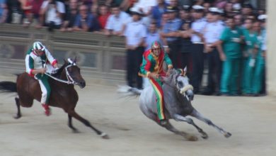 Palio di Siena at yarışı Piazza del Campo